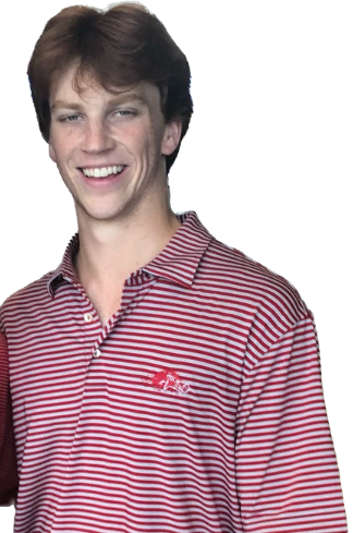 gavin