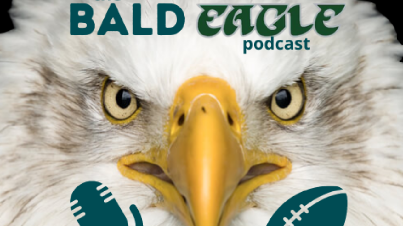 Bald eagle logo