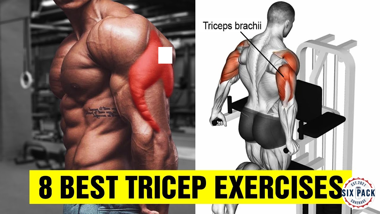 tricep action